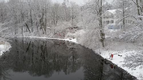 Im Schnee